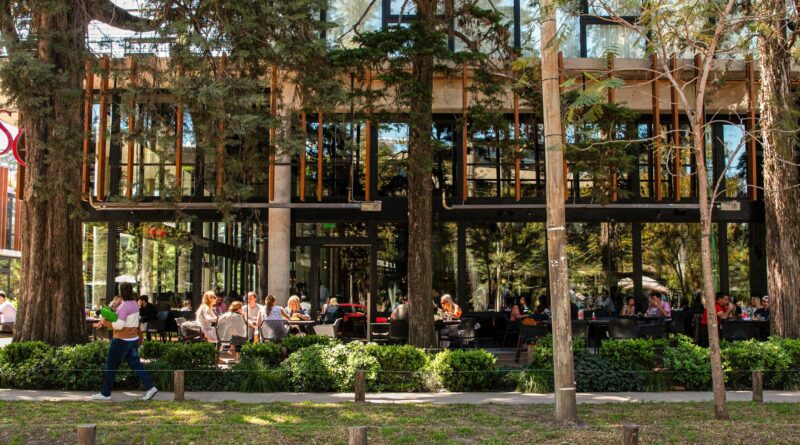 “Es igual a Cariló”: la zona con bosque propio en las afueras de la Ciudad que promete un boom inmobiliario