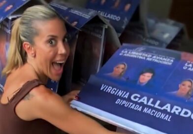 Virginia Gallardo, cuestionada por una acción solidaria con perros callejeros en Corrientes