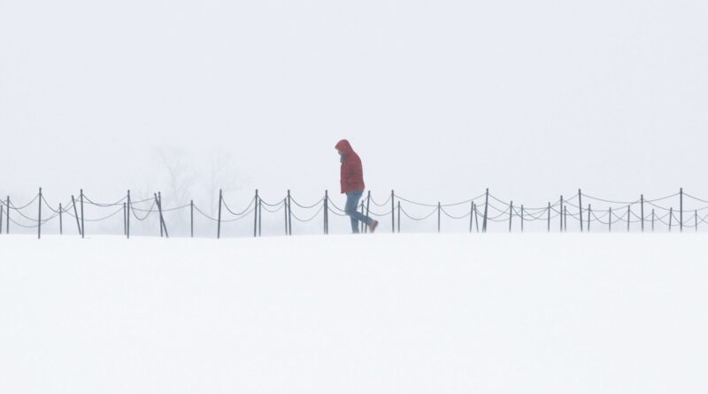 Cuántas pulgadas de nieve han caído en Carolina del Norte durante las últimas horas Cuántas pulgadas de nieve han caído en Carolina del Norte durante las últimas horas