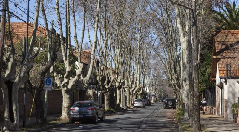 Precio de los departamentos: un informe reveló qué pasó con las propiedades en zona norte Precio de los departamentos: un informe reveló qué pasó con las propiedades en zona norte